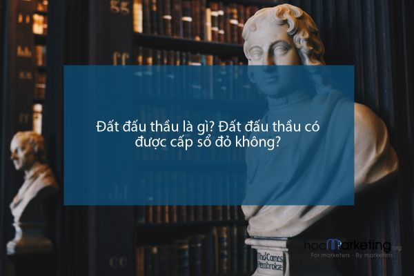 Đất đấu thầu là gì? Đất đấu thầu có được cấp sổ đỏ không?