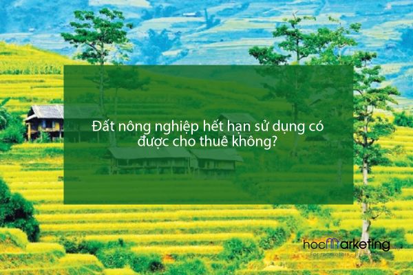 Đất nông nghiệp hết hạn sử dụng có được cho thuê không?
