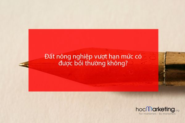 Đất nông nghiệp vượt hạn mức có được bồi thường không?
