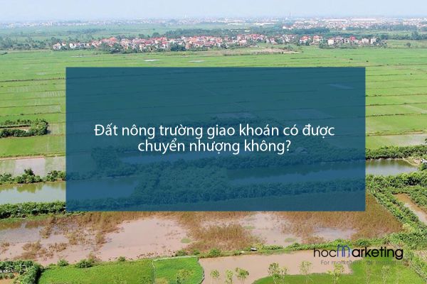 Đất nông trường giao khoán có được chuyển nhượng không?