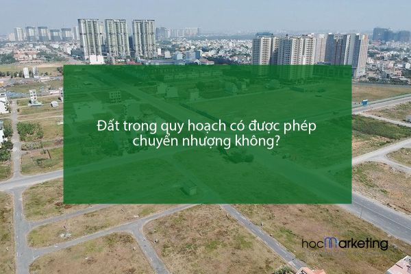Đất trong quy hoạch có được phép chuyển nhượng không?