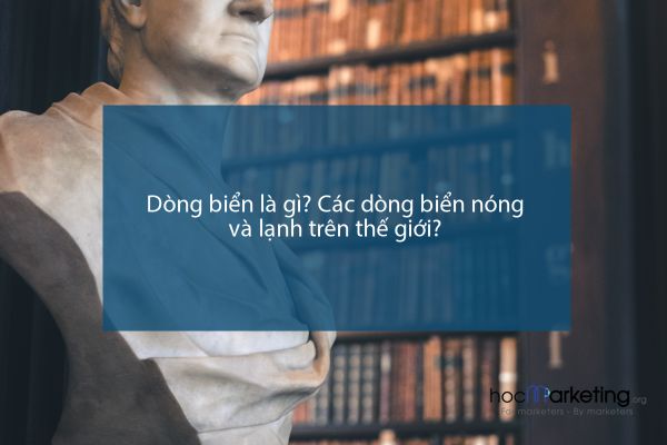 Dòng biển là gì? Các dòng biển nóng và lạnh trên thế giới?