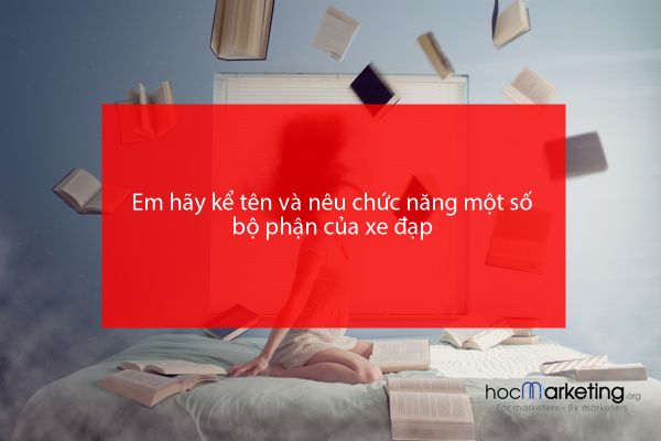 Em hãy kể tên và nêu chức năng một số bộ phận của xe đạp
