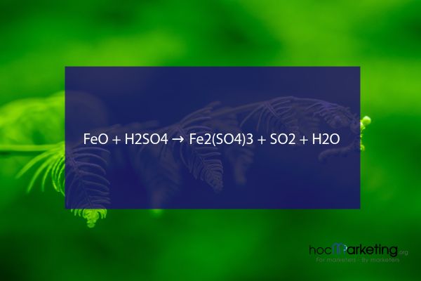 FeO + H2SO4 → Fe2(SO4)3 + SO2 + H2O