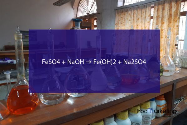 FeSO4 + NaOH → Fe(OH)2 + Na2SO4