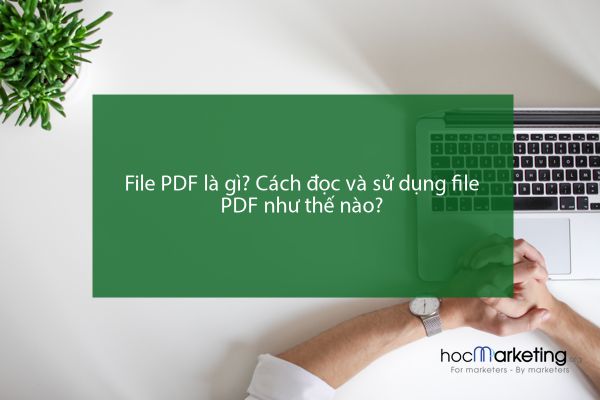 File PDF là gì? Cách đọc và sử dụng file PDF như thế nào?