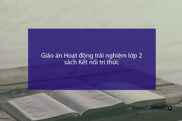 Giáo án Hoạt động trải nghiệm lớp 2 sách Kết nối tri thức