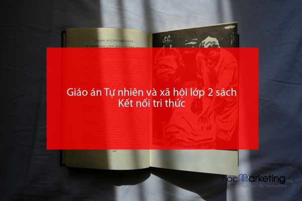 Giáo án Tự nhiên và xã hội lớp 2 sách Kết nối tri thức