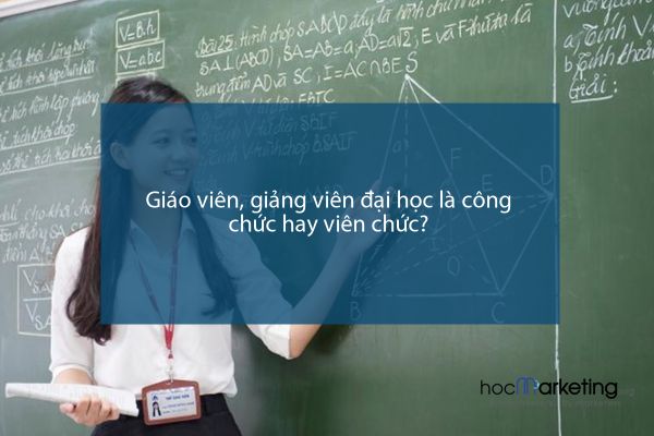 Giáo viên, giảng viên đại học là công chức hay viên chức?
