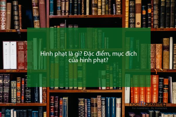 Hình phạt là gì? Đặc điểm, mục đích của hình phạt?