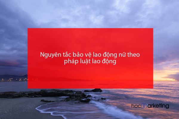 Nguyên tắc bảo vệ lao động nữ theo pháp luật lao động
