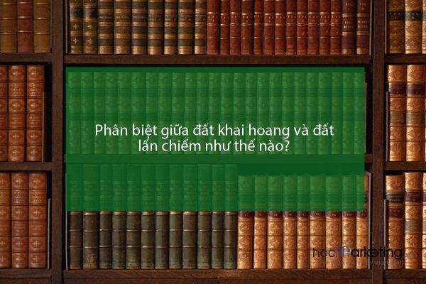 Phân biệt giữa đất khai hoang và đất lấn chiếm như thế nào?