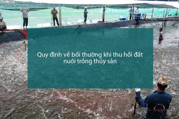 Quy định về bồi thường khi thu hồi đất nuôi trồng thủy sản
