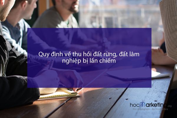Quy định về thu hồi đất rừng, đất lâm nghiệp bị lấn chiếm
