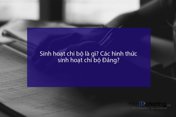 Sinh hoạt chi bộ là gì? Các hình thức sinh hoạt chi bộ Đảng?