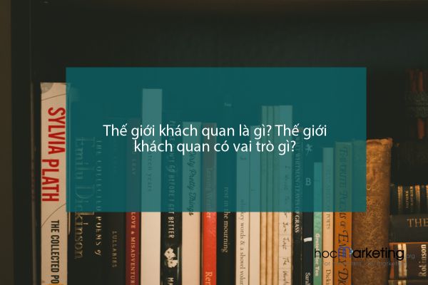 Thế giới khách quan là gì? Thế giới khách quan có vai trò gì?