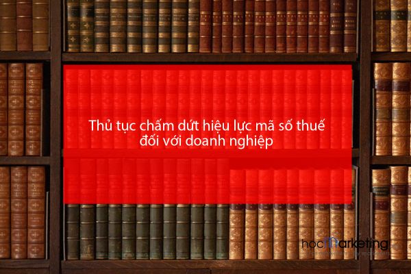 Thủ tục chấm dứt hiệu lực mã số thuế đối với doanh nghiệp