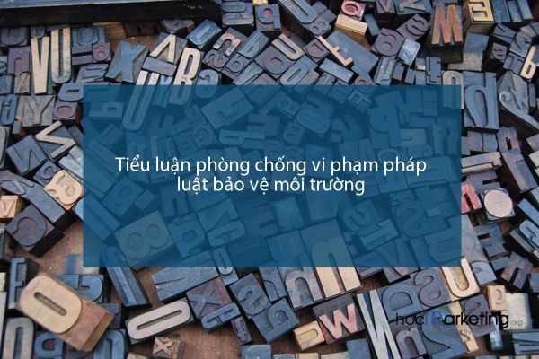 Tiểu luận phòng chống vi phạm pháp luật bảo vệ môi trường