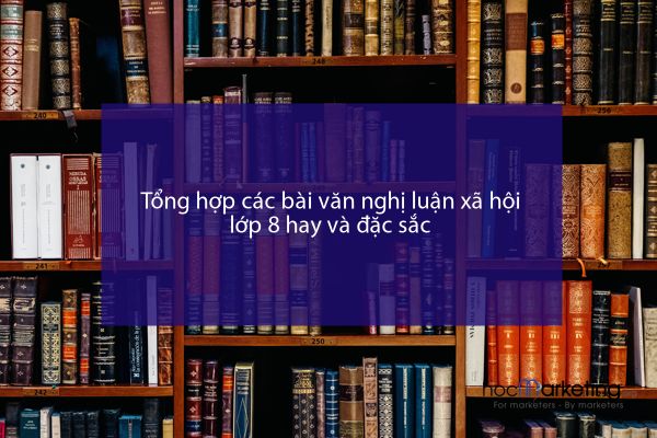Tổng hợp các bài văn nghị luận xã hội lớp 8 hay và đặc sắc