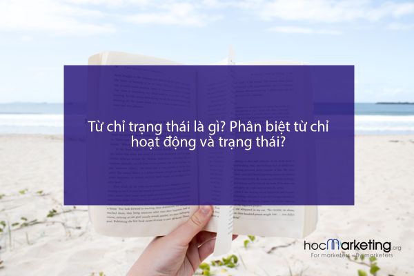 Từ chỉ trạng thái là gì? Phân biệt từ chỉ hoạt động và trạng thái?