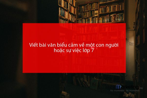 Viết bài văn biểu cảm về một con người hoặc sự việc lớp 7