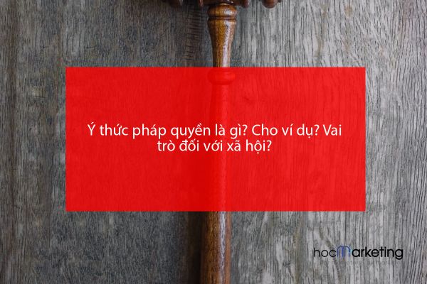Ý thức pháp quyền là gì? Cho ví dụ? Vai trò đối với xã hội?